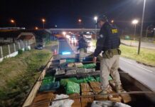 PRF apreende 11 toneladas de maconha na rodovia Régis Bittencourt — Polícia Rodoviária Federal WhatsApp Image 2024-12-21 at 06.43.56.jpeg