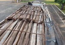 PRF apreende carga de madeira ilegal em Uruaçu (GO) — Polícia Rodoviária Federal PRF apreende carga de madeira ilegal em Uruaçu-GO