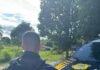 PRF apreende ouro sendo transportado de forma ilegal em Porto Velho-RO — Polícia Rodoviária Federal PRF apreende ouro sendo transportado de forma ilegal em Porto Velho-RO