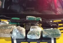 PRF e PMCE apreendem fuzil de calibre restrito e drogas dentro de ônibus interestadual na BR-222 — Polícia Rodoviária Federal WhatsApp Image 2024-12-13 at 11.00.00.jpeg