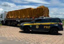 PRF flagra caminhão transportando óleo de soja sem nota fiscal na BR-020 — Polícia Rodoviária Federal WhatsApp Image 2024-12-13 at 14.23.43.jpeg