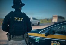 PRF flagra dois casos de condutores inabilitados em menos de 24 horas na BR-235 — Polícia Rodoviária Federal 994ec556-667d-4caf-ba4b-49aaa20e0eec.jpg