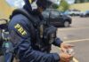 PRF prende motorista de caminhonete sob efeito de maconha na região de Curitiba — Polícia Rodoviária Federal 20241227_direção influencia maconha_tijucas.jpeg