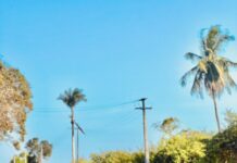 PRF/AL inicia Operação RODOVIDA 2024/2025 — Polícia Rodoviária Federal IMG_8926.jpg