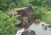 Parceria França-Bahia reforça gestão de conservação ambiental e desenvolvimento sustentável Logo