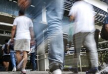 Concurso do Ibama terá 460 vagas com salários de R$ 9.994,6 Concurso do Ibama terá 460 vagas com salários de R$ 9.994,6
