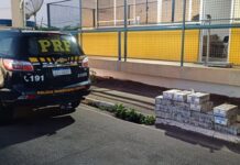 Em Santo Antônio de Jesus (BA), PRF apreende 166 kg de cocaína escondidos em compartimento falso de caminhão — Polícia Rodoviária Federal WhatsApp Image 2025-01-24 at 19.27.04 (1).jpeg