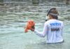 Expedição em Itaparica mobiliza comunidade contra coral invasor na Baía de Todos-os-Santos Logo