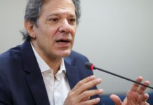 Haddad desmente imposto sobre pet após vídeo falso feito com IA Haddad desmente imposto sobre pet após vídeo falso feito com IA