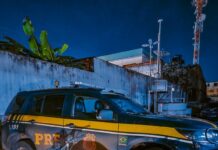 Motocicleta com sinais adulterados é apreendida na BR-174 — Polícia Rodoviária Federal 1f21efb6-1b43-42ae-9e00-964c186fe74e.jpg