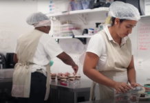 Nova série sobre empreendedorismo estreia na TVE Logo