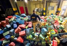 PRF apreende 284 toneladas de drogas no Paraná em 2024 e bate recorde histórico — Polícia Rodoviária Federal 20241108_maconha_19,5toneladas_iguaracu.jpg