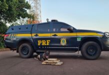PRF apreende 8 Kg de maconha em Terenos (MS) — Polícia Rodoviária Federal PRF apreende 8 Kg de maconha em Terenos (MS).jpg
