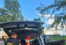 PRF apreende Maconha dentro de veículo na BR 365 em Patos de Minas (MG) — Polícia Rodoviária Federal Maconha Patos de Minas 23 janeiro.jpeg