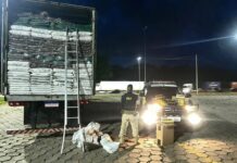 PRF apreende grandes carregamentos de cigarros sem nota fiscal na BR 381 e na BR 116 em MG — Polícia Rodoviária Federal Cigarros sem NF em Três Corações.jpeg
