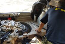 PRF apreende “maconha dos playboys” na BR-262, em Minas Gerais — Polícia Rodoviária Federal WhatsApp Image 2025-01-24 at 17.34.52.jpeg