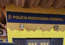 PRF apreende mais de 300 kg Maconha durante abordagem na BR 365 em Patos de Minas (MG) — Polícia Rodoviária Federal Maconha Patos de Minas Jan 25.jpeg