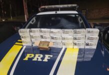 PRF apreende mais de mil munições de fuzil na Região Serrana — Polícia Rodoviária Federal WhatsApp Image 2025-01-15 at 10.54.45.jpeg