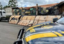 PRF apreende quase 4,5 toneladas de maconha em Guarapuava (PR) — Polícia Rodoviária Federal WhatsApp Image 2025-01-22 at 15.26.32.jpeg