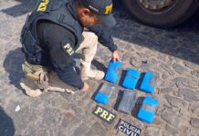 PRF e Polícia Civil apreendem cocaína no interior do Ceará — Polícia Rodoviária Federal WhatsApp Image 2025-01-23 at 18.20.17.jpeg