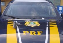 PRF na Paraíba tira arma de fogo de circulação e apreende carro clonado — Polícia Rodoviária Federal WhatsApp Image 2025-01-29 at 13.42.25.jpeg