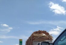 PRF/AL apreende mais de 68 m³ de madeira nativa irregular em Maribondo — Polícia Rodoviária Federal 069bee5b-a0fa-4e90-8819-0f677c701082.jpg