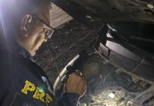 PRF/AL registra ocorrência de receptação, em Palmeira dos Índios/AL — Polícia Rodoviária Federal adulteração 2025.jpeg