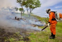 Reda com 46 vagas fortalece a gestão ambiental na Bahia Logo