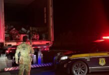 Às vésperas do carnaval, PRF faz maior apreensão de maconha do Paraná em 2025 — Polícia Rodoviária Federal 5 ton