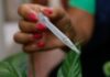 Com 300 casos por 100 mil habitantes, SP entra em epidemia de dengue Com 300 casos por 100 mil habitantes, SP entra em epidemia de dengue