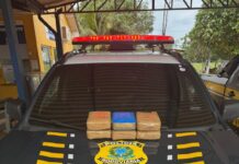 Em Guajará-Mirim, PRF prende passageira de táxi transportando Maconha — Polícia Rodoviária Federal Em Guajará-Mirim, PRF prende passageira de táxi transportando Maconha