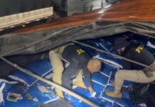 Grande carregamento de cocaína escondido em carga de milho de pipoca é apreendido na BR-153, em Uruaçu (GO) — Polícia Rodoviária Federal Grande carregamento de drogas