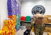 Mais de duas toneladas de maconha são apreendidas na Rodovia Presidente Dutra — Polícia Rodoviária Federal PRF_GOCRJ_01-02-2025.jpg