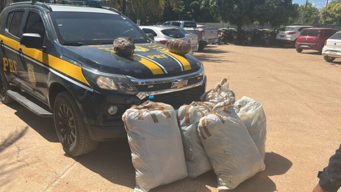 Motorista em fuga colide em caminhão e é detido pela PRF com 64 Kg de maconha em Juazeiro