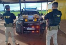 PRF apreende 13,9 Kg de maconha durante fiscalização na BR-163, em Trairão/PA — Polícia Rodoviária Federal PRF apreende 13,9 Kg de maconha durante fiscalização na BR-163, em Trairão