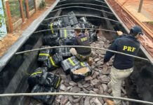 PRF apreende 2,6 toneladas de maconha e munições em Campo Grande (MS) — Polícia Rodoviária Federal Imagem do WhatsApp de 2025-02-07 à(s) 16.42.33_d00fb373.jpg