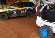 PRF apreende 4 Kg de cocaína em Rio Brilhante (MS) — Polícia Rodoviária Federal Imagem do WhatsApp de 2025-02-06 à(s) 09.45.30_ec8bdddc.jpg