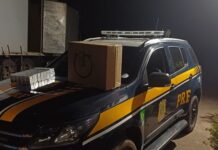 PRF apreende mais 235 mil maços de cigarros contrabandeados dentro de caminhão em Caxambu (MG) — Polícia Rodoviária Federal IMG-20250214-WA0065(1).jpg