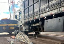 PRF apreende mais de 100 kg de drogas e munições em Rondonópolis/MT — Polícia Rodoviária Federal WhatsApp Image 2025-02-10 at 16.48.10.jpeg