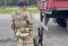PRF apreende mais de 100 quilos de cocaína na região metropolitana de Curitiba (PR) — Polícia Rodoviária Federal coca_goc