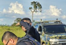 PRF e GEFRON apreendem 3 kg de Skunk e prendem suspeitos de tráfico de drogas em Xapuri-AC — Polícia Rodoviária Federal WhatsApp Image 2025-02-07 at 09.17.22.jpeg
