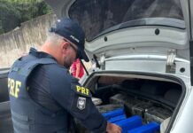 PRF e Polícia Civil apreendem carga de maconha em Marília — Polícia Rodoviária Federal WhatsApp Image 2025-01-31 at 16.42.10.jpeg