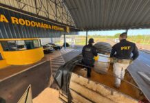 PRF e RFB apreendem 5 mil cigarros eletrônicos em Guaíra (PR) — Polícia Rodoviária Federal DEFs