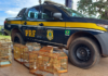 PRF resgata aves silvestres em ações de combate aos crimes ambientais em Açailândia (MA) — Polícia Rodoviária Federal 3.png
