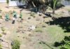Projeto Praia Verde Projeto Praia Verde