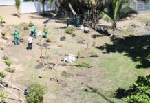 Projeto Praia Verde Projeto Praia Verde