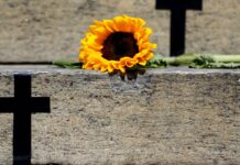 CNJ registra aumento de 225% no número de julgamentos de feminicídio CNJ registra aumento de 225% no número de julgamentos de feminicídio