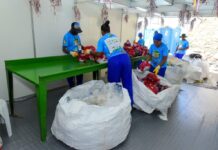Centrais de Reciclagem do Carnaval coletam mais de 70 toneladas de materiais recicláveis em três dias – Secretaria de Comunicação Centrais de Reciclagem do Carnaval coletam mais de 70 toneladas de materiais recicláveis em três dias – Secretaria de Comunicação