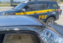 Meia tonelada de queijo sem nota fiscal e sem refrigeração é apreendida pela PRF em São Caetano — Polícia Rodoviária Federal Meia tonelada de queijo sem nota fiscal e sem refrigeração é apreendida pela PRF em São Caetano