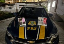 PRF apreende 11 celulares importados dentro de ônibus em Pouso Alegre/MG — Polícia Rodoviária Federal WhatsApp Image 2025-03-20 at 20.35.50.jpeg